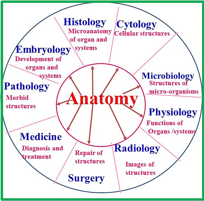 JAMB Cut Off Mark for Anatomy